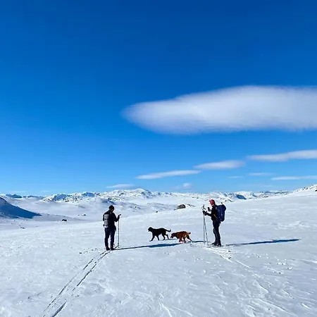 Hyggelig Leilighet I Sentrum Hemsedal Exterior photo