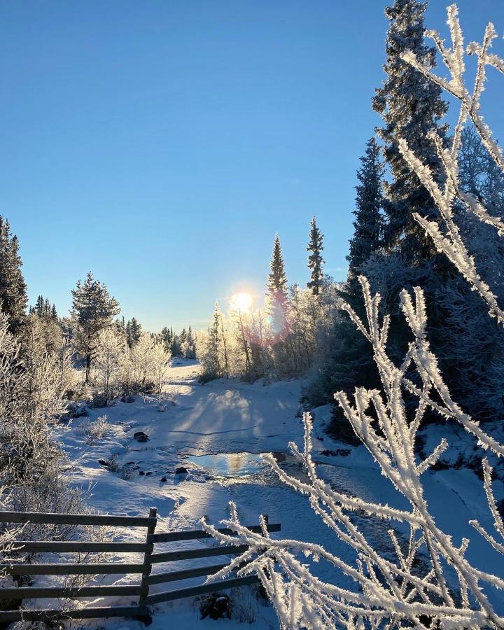 Hyggelig I Sentrum * Hemsedal