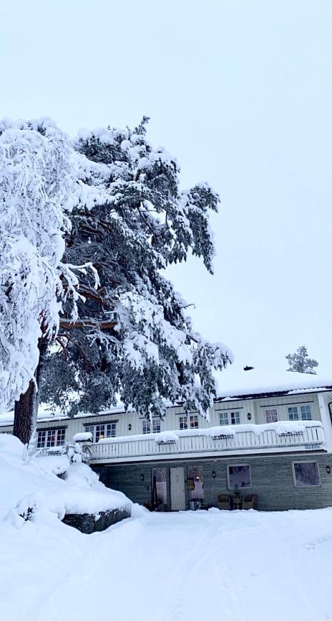 Hyggelig I Sentrum Hemsedal