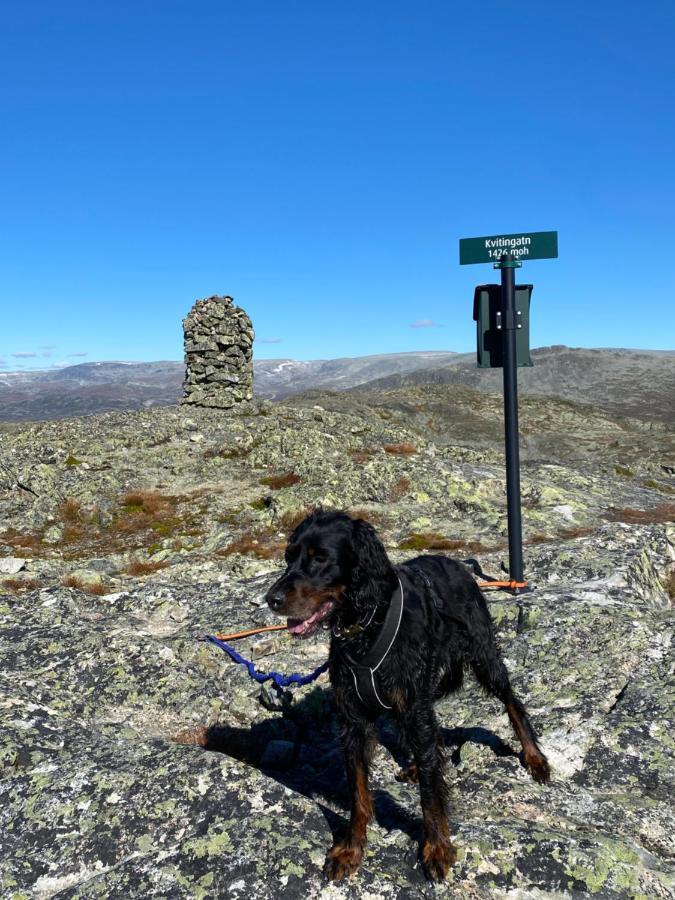 Hyggelig I Sentrum Hemsedal