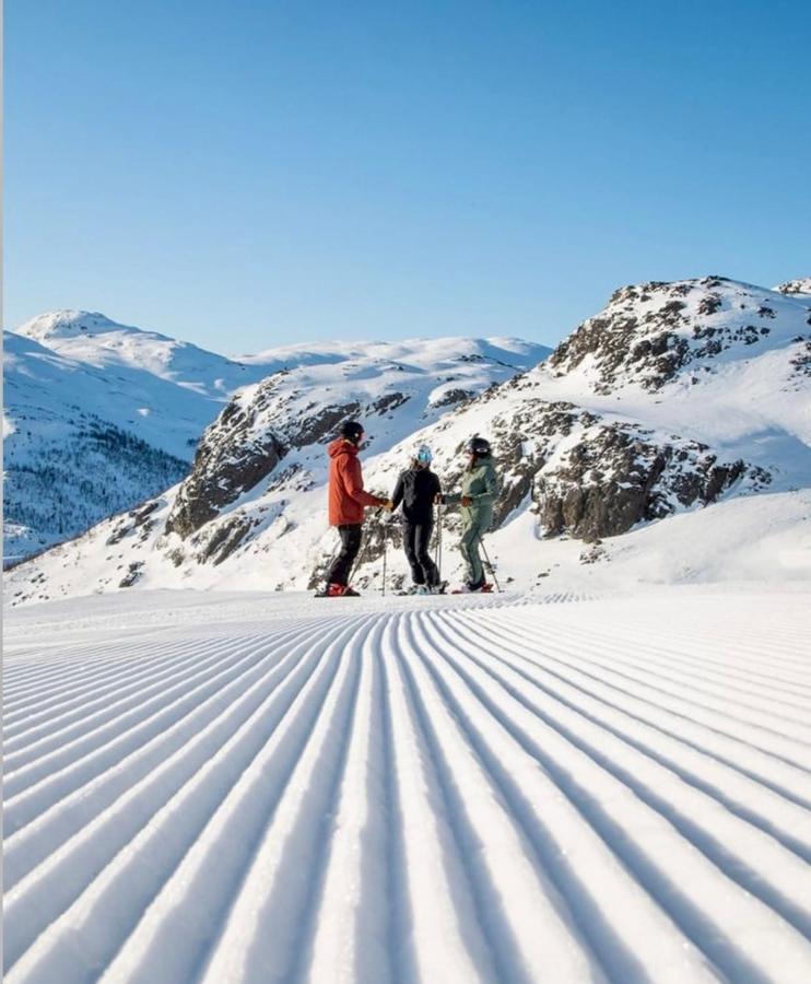 Hyggelig I Sentrum * Hemsedal
